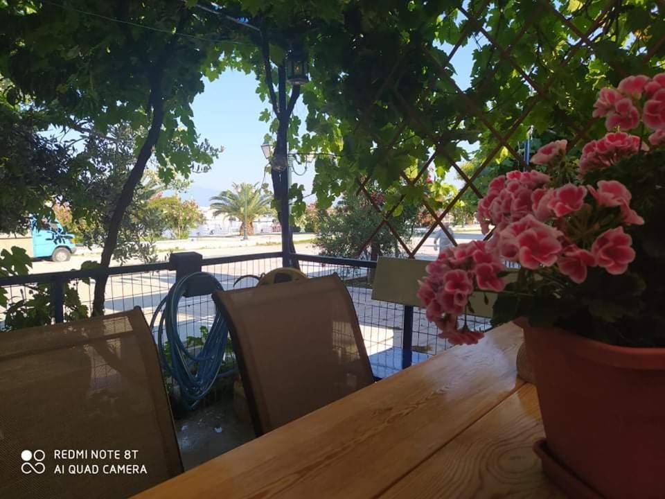 Seaside Deluxe Apartment Skála Kallirákhis Eksteriør billede